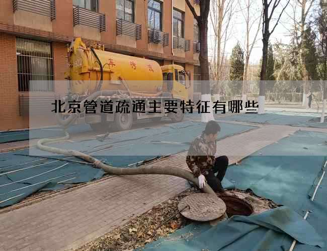 北京管道疏通主要特征有哪些