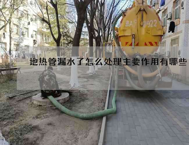 地熱管漏水了怎么處理主要作用有哪些