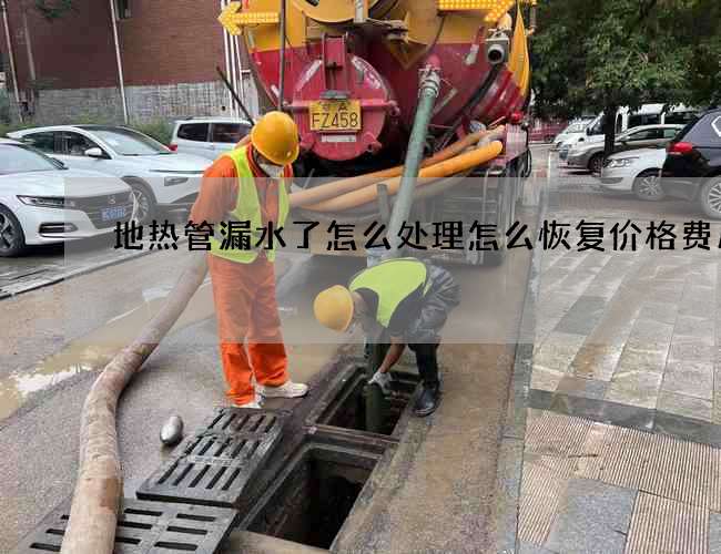 地?zé)峁苈┧嗽趺刺幚碓趺椿謴?fù)價格費(fèi)用