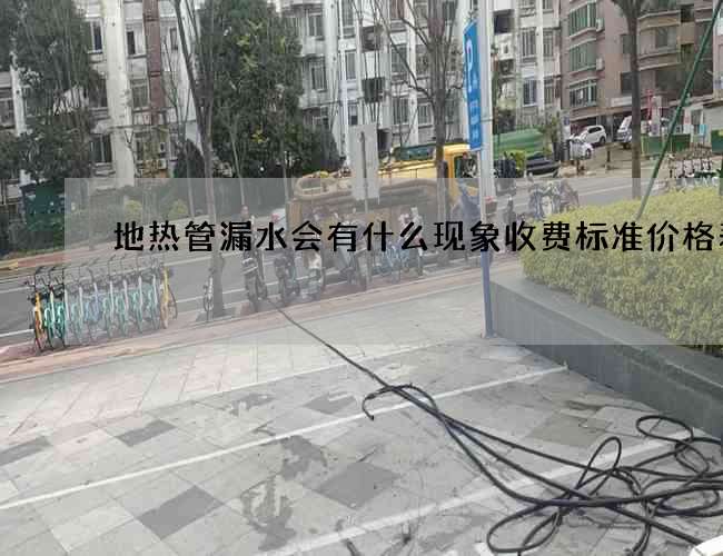 地熱管漏水會有什么現象收費標準價格表