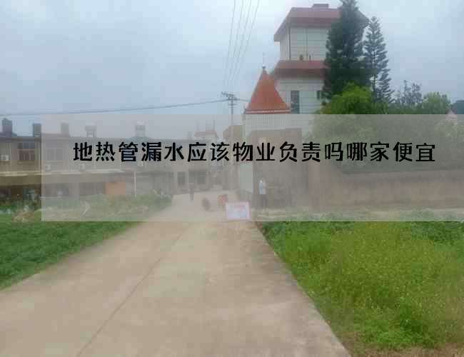 地熱管漏水應該物業負責嗎哪家便宜
