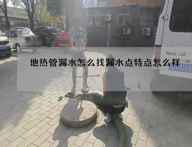 地?zé)峁苈┧趺凑衣┧c(diǎn)特點(diǎn)怎么樣