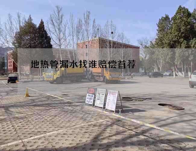 地?zé)峁苈┧艺l(shuí)賠償首薦