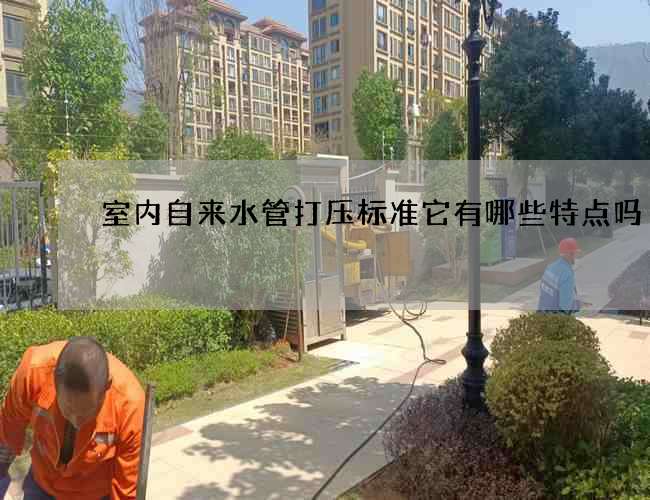 室內自來水管打壓標準它有哪些特點嗎