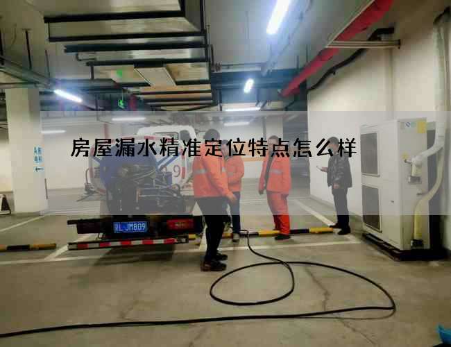房屋漏水精準定位特點怎么樣