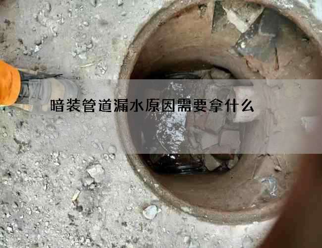 暗裝管道漏水原因需要拿什么