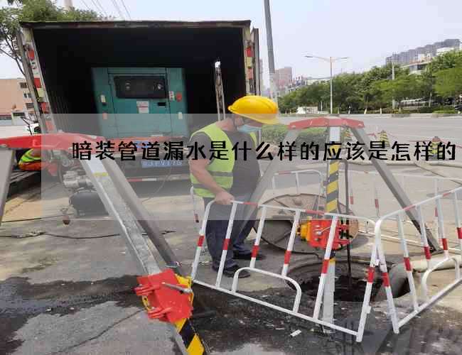 暗裝管道漏水是什么樣的應該是怎樣的
