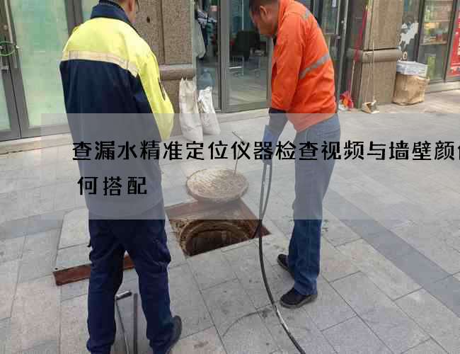 查漏水精準定位儀器檢查視頻與墻壁顏色如何搭配