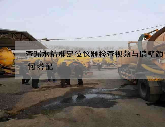 查漏水精準定位儀器檢查視頻與墻壁顏色如何搭配